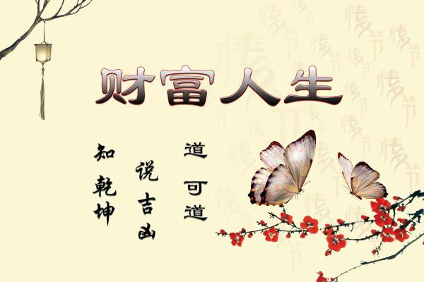 少奶奶命背后的财富密码与幸福指数