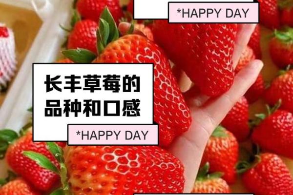 如何通过名字赋予草莓独特魅力