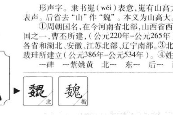 魏姓的渊源与发展：从历史人物到现代名将