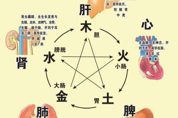 八字缺木怎么办？化解方法与命理建议