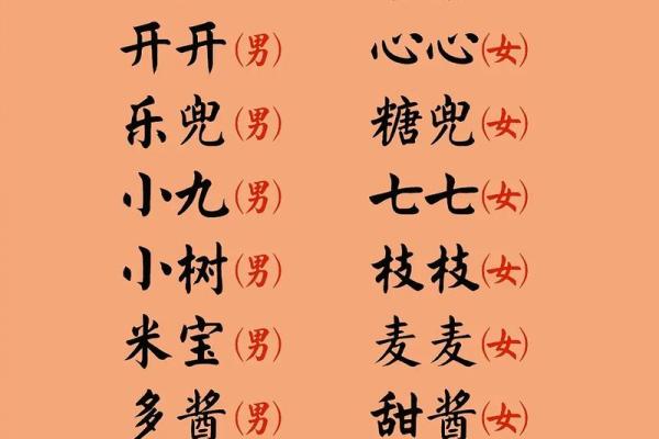 专业宝宝起名公司解析：如何起个吉祥名字