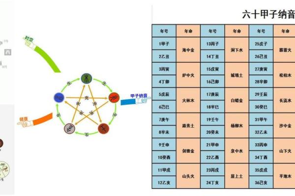 徐字五行属什么及其对命理的影响解析