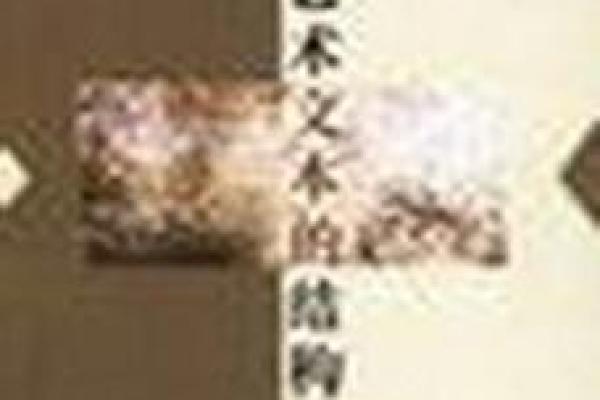 图书公司命名的艺术：如何平衡创意与商业性