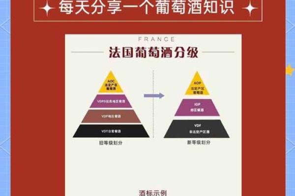 选择完美红酒公司名字的五大技巧