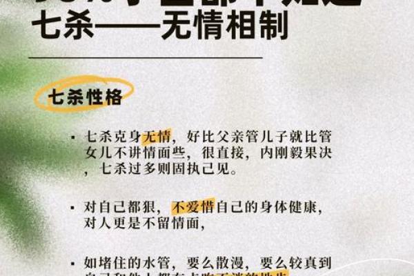 陈五行属性解析及其对命运的影响