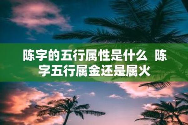 陈五行属性解析及其对命运的影响
