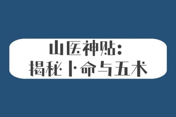 忻字五行属性解析与命理意义探索