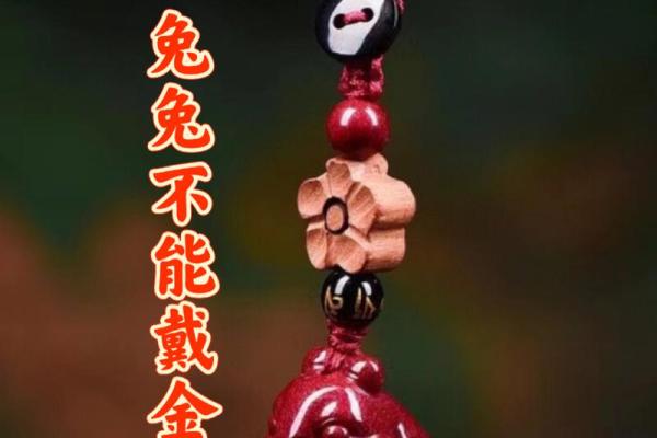 属兔人在的运势如何？全面解析事业与财富前景