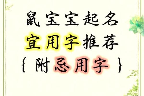 晚间出生鼠宝宝起名禁忌与注意事项
