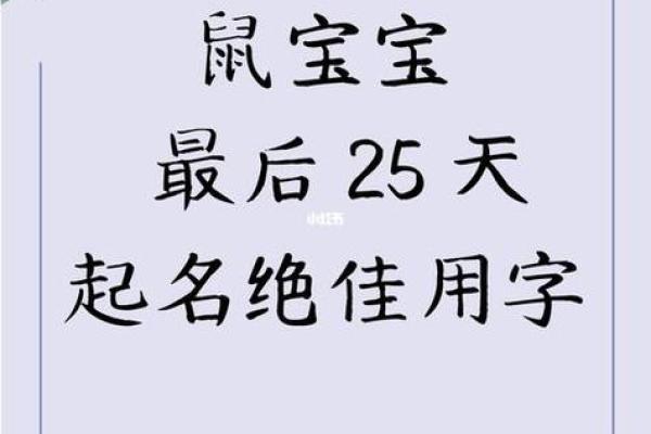 晚间出生鼠宝宝起名禁忌与注意事项