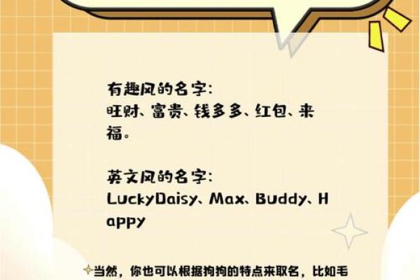 如何为你的狗狗挑选一个独特又有意义的名字