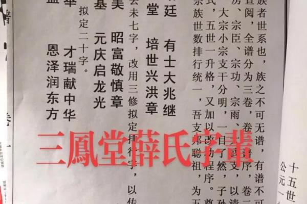 薛姓宝宝名字大全：涵盖多种风格