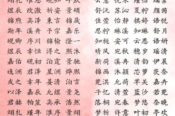 如何用起名字典为宝宝挑选有文化底蕴的名字