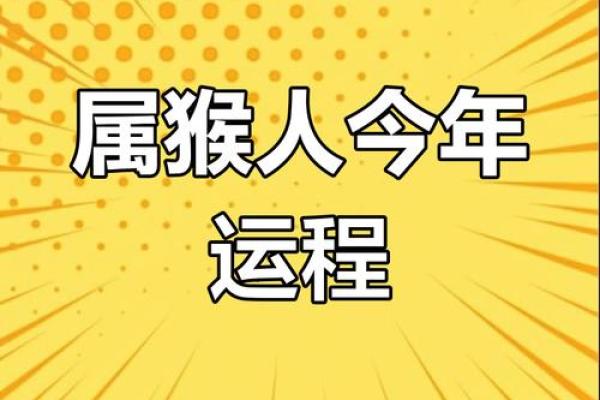 肖猴人每月运程详解与解析