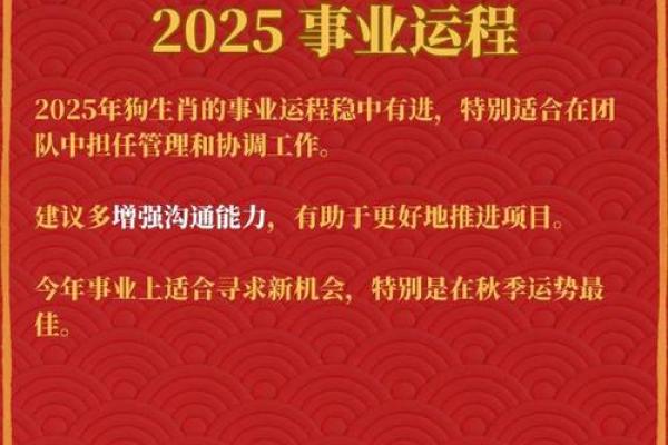 狗年运势解析及全年运程预测