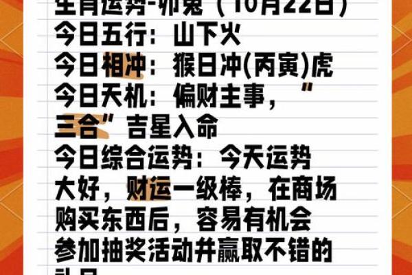出生的人属兔，命理解析与运势揭秘