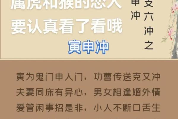 寅在五行中属木的解析与意义