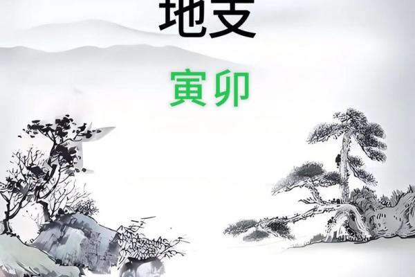 寅在五行中属木的解析与意义