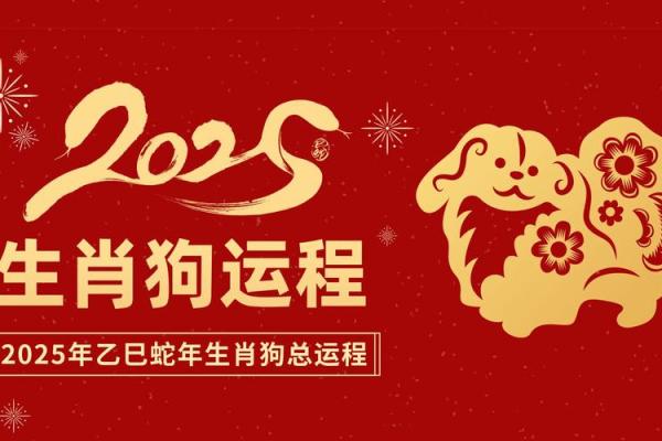狗年运势透析：事业挑战与个人成长的完美契机