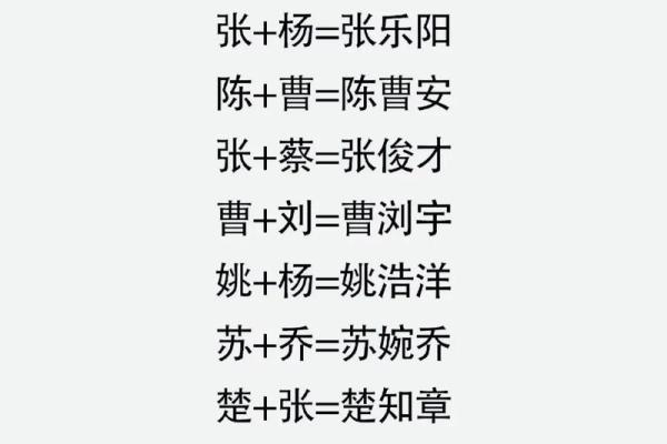 宝宝起名公司对孩子一生运势的深远影响