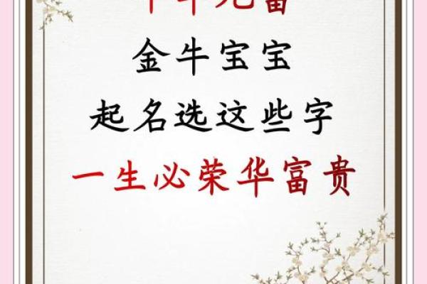 宝宝起名公司对孩子一生运势的深远影响