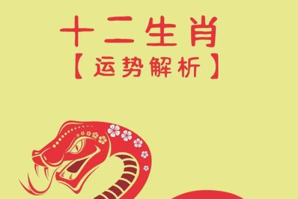 兔生肖运势揭秘：财富、事业与感情的变化