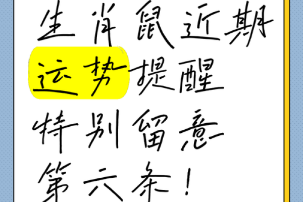 每日鼠运势指南，助你一整天顺利行事