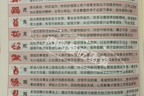 每日鼠运势指南，助你一整天顺利行事