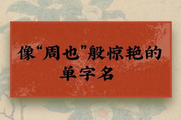 从古至今，单字名字的流行与传承