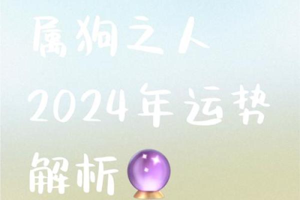 属狗人运势分析与发展机会