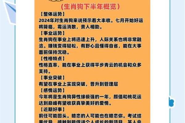 属狗人运势分析与发展机会