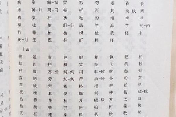 五行属木的特点与生活中的应用解析