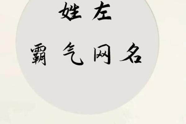 如何用左名字提升个人的独特气质
