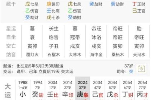 如何判断一个人是否具有食神命