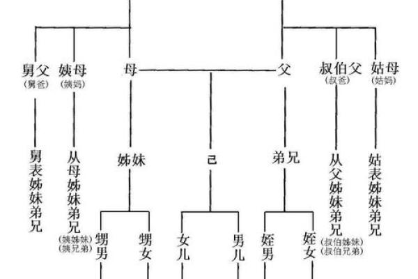 从名字看家族血脉与传统继承
