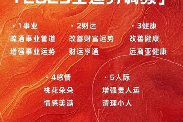 蛇年运势解析与全年运程指南