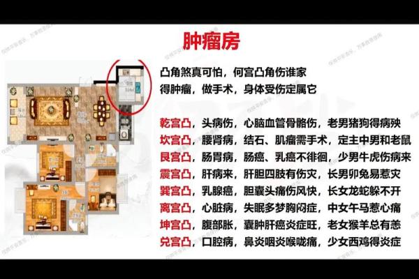 如何通过风水改善江北家居环境