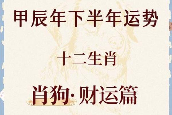 属狗人的事业、感情与健康运势全面解读