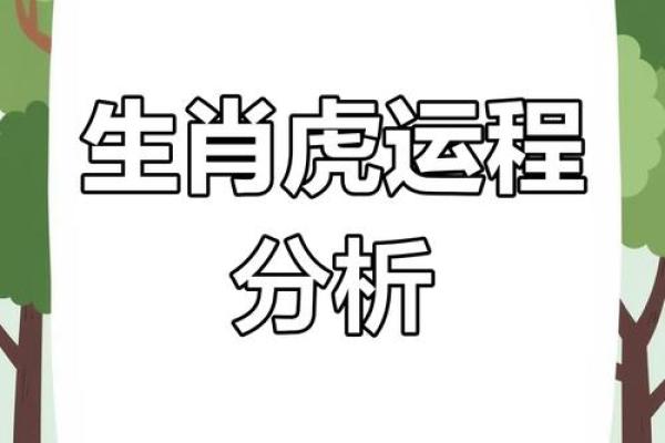 属虎人健康与感情运势全解析