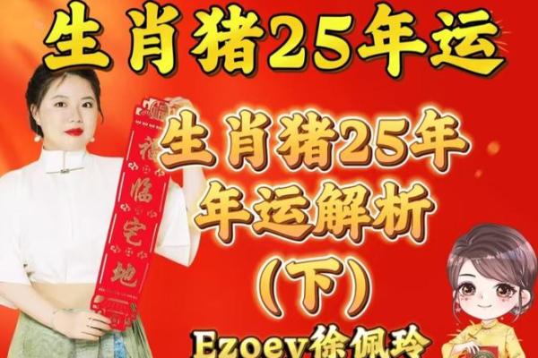 肖猪运程全解析：财富与事业的双重挑战与机遇