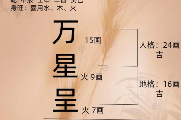 根据五行八字为新生儿取名，命理专家的建议