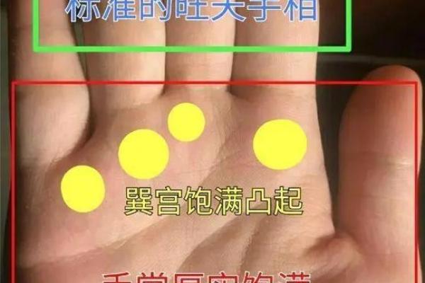 梓树五行属性解析与命理关系分析
