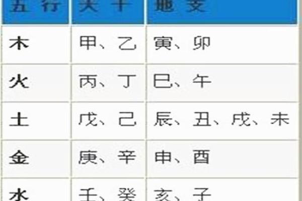 地支五行对照表解析与应用指南