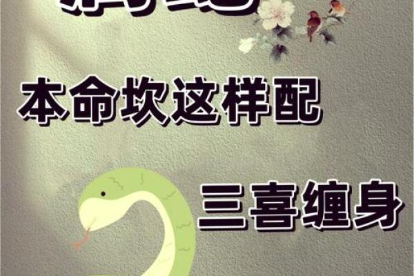 属蛇人在本命年如何做好自我保护