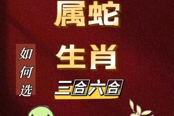 属蛇人在本命年如何做好自我保护