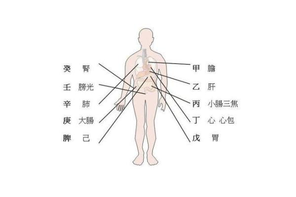 家居风水角度看胃部健康的重要性