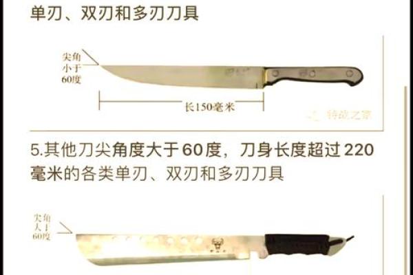 刀具名称大全：探索各种刀具的独特命名与分类