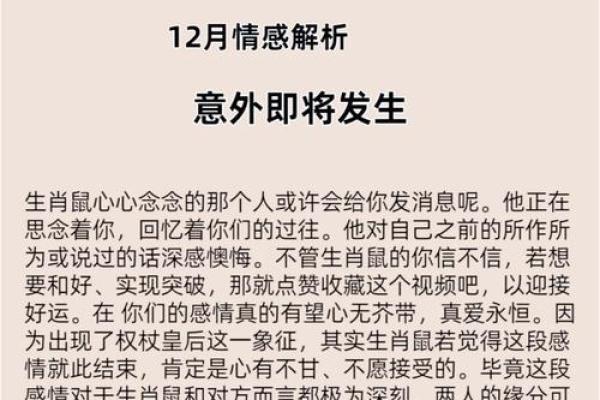 本命年鼠女如何应对生活中的挑战