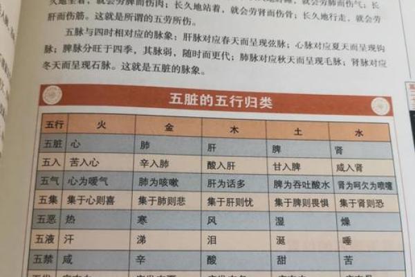 揀的五行属性分析：揭开其背后的深层含义