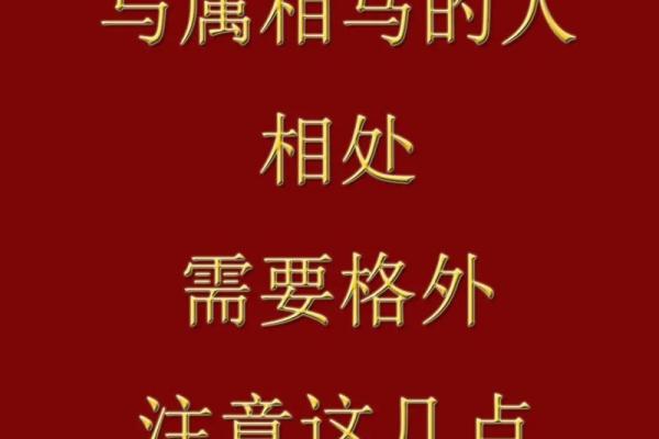 属龙与属马的性格碰撞是否和谐